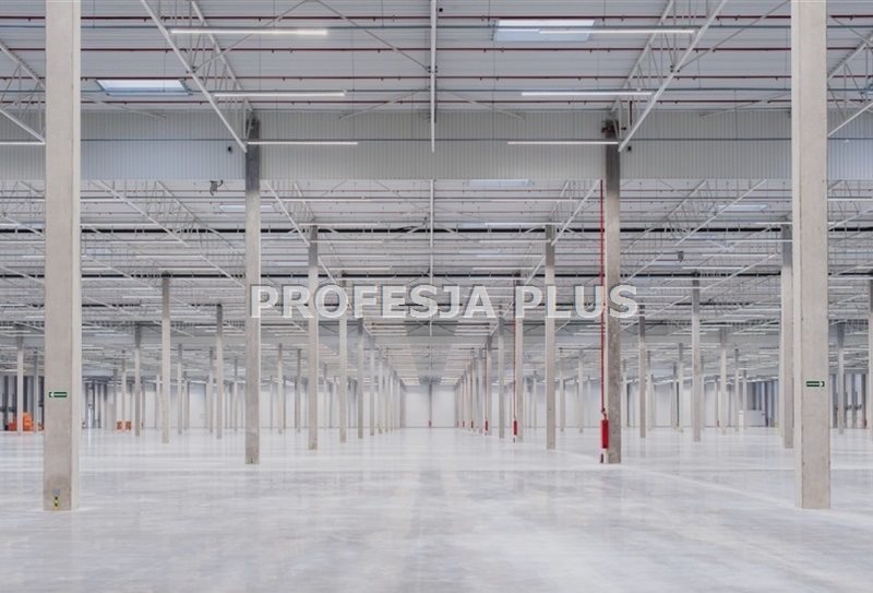 Magazyn klasy A 3800 m² z dokami i biurami w Chorzowie Chorzów  3 800m2 Foto 1