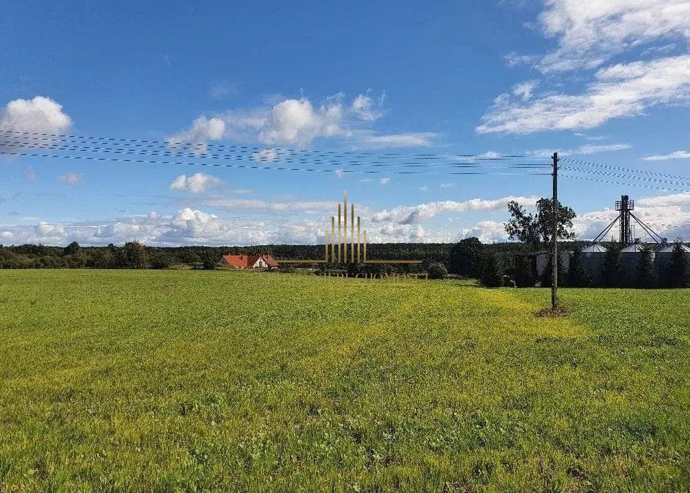 Działka inna na sprzedaż Gościeradz  3 000m2 Foto 4