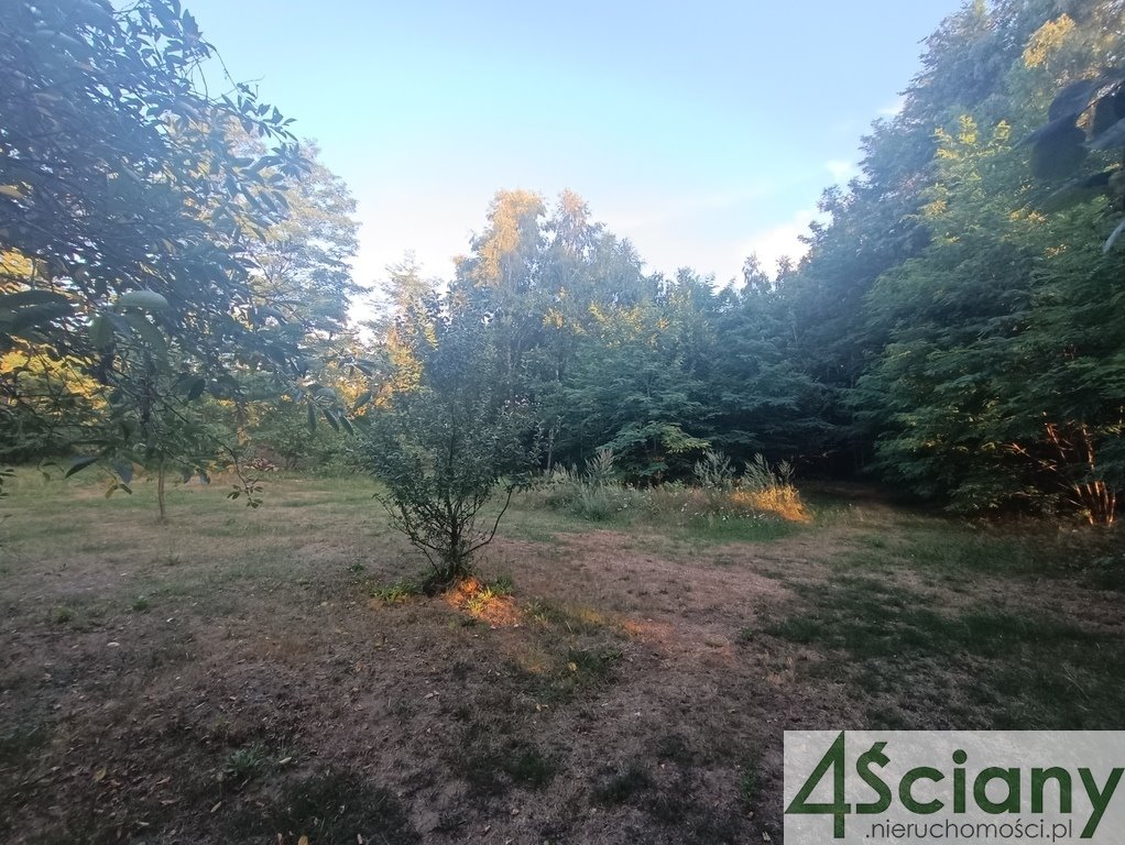 Działka budowlana na sprzedaż Biernik  16 000m2 Foto 3