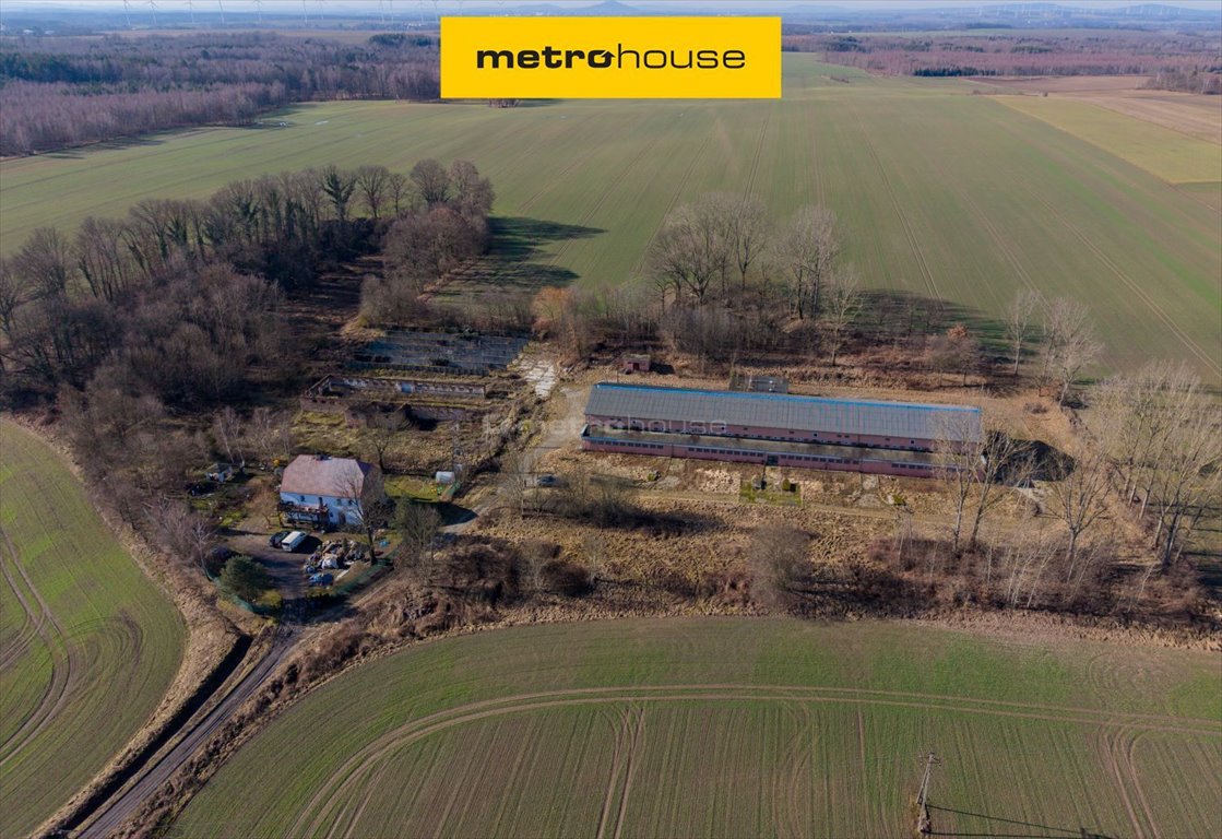 Grunt inwestycyjny 20 358 m² pod przemysł i magazyny Dłużyna Dolna  20 358m2 Foto 1