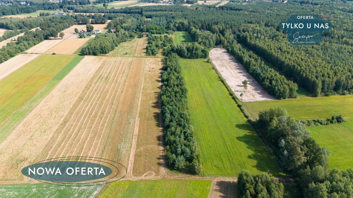 Działka rolna na sprzedaż Zelów  26 000m2 Foto 3