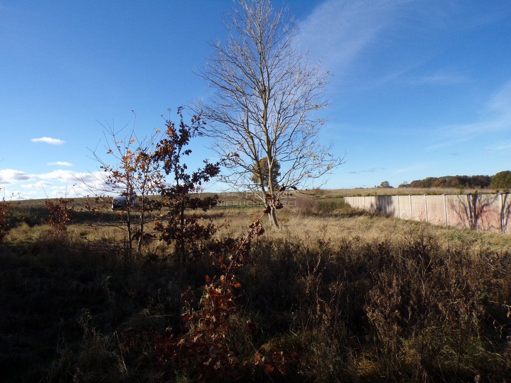 Działka budowlana na sprzedaż Wierzchocino  1 305m2 Foto 6