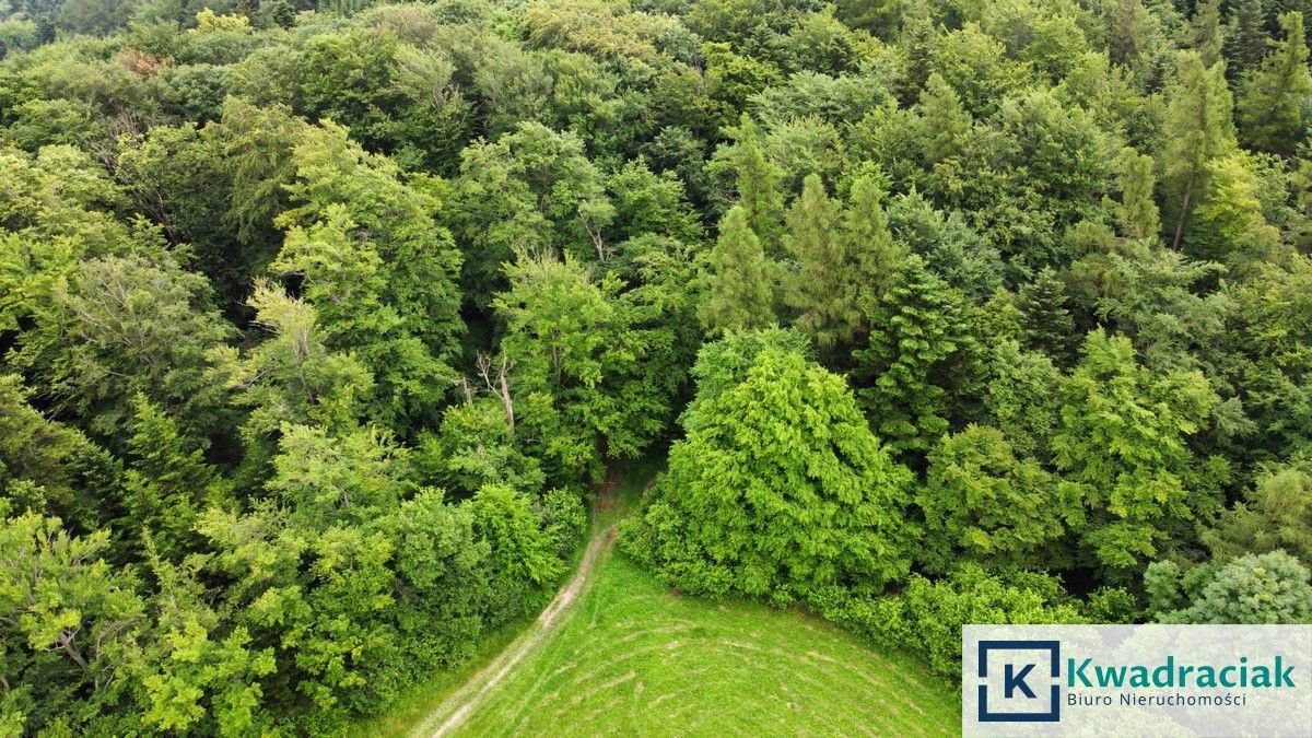 Działka leśna na sprzedaż Stary Żmigród  96 100m2 Foto 8