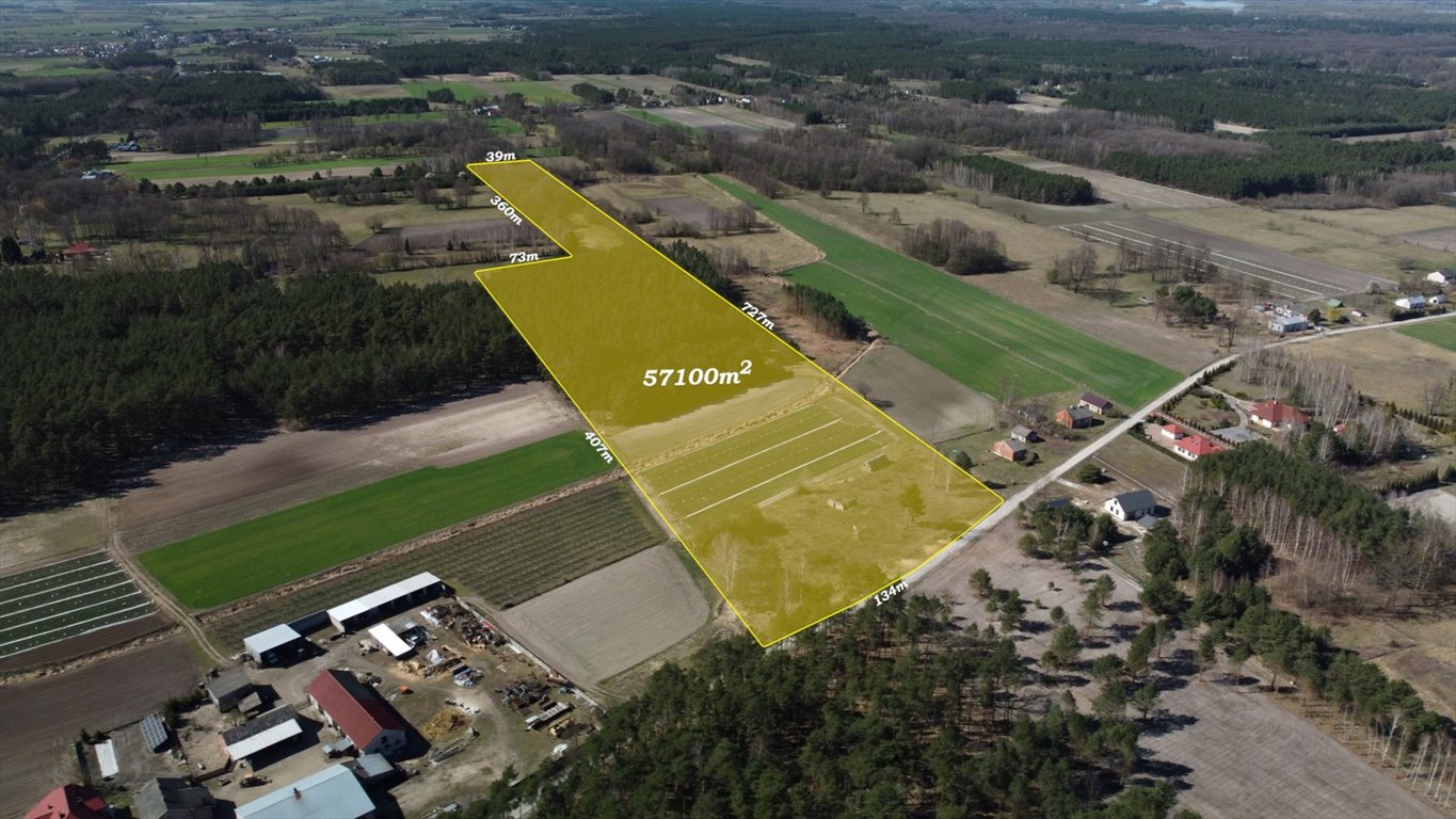 Działka siedliskowa na sprzedaż Leśniaki  57 100m2 Foto 1