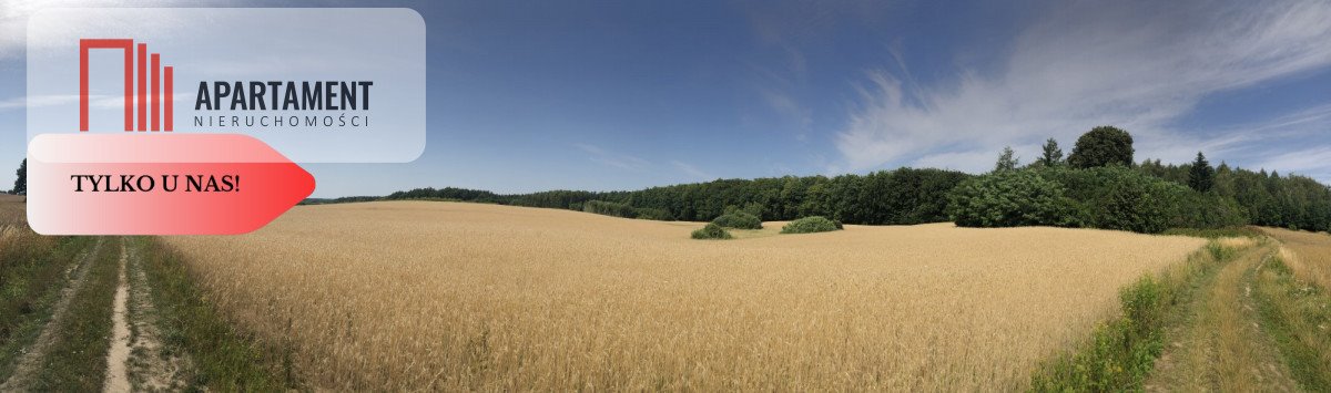 Działka gospodarstwo rolne na sprzedaż Kamierowskie Piece, Trzcianka  28 500m2 Foto 1