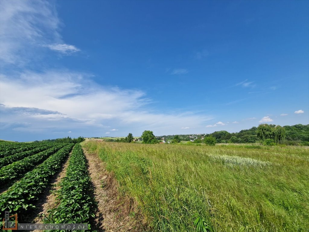 Działka inna na sprzedaż Cianowice Małe  4 870m2 Foto 1