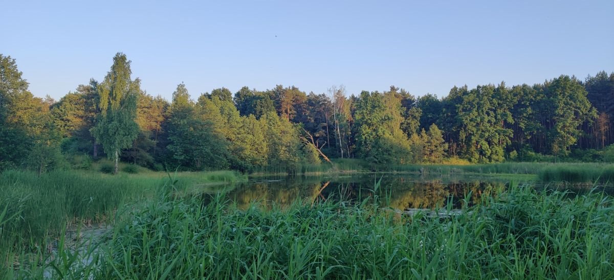 Lokal użytkowy na sprzedaż Tartak  52 600m2 Foto 20