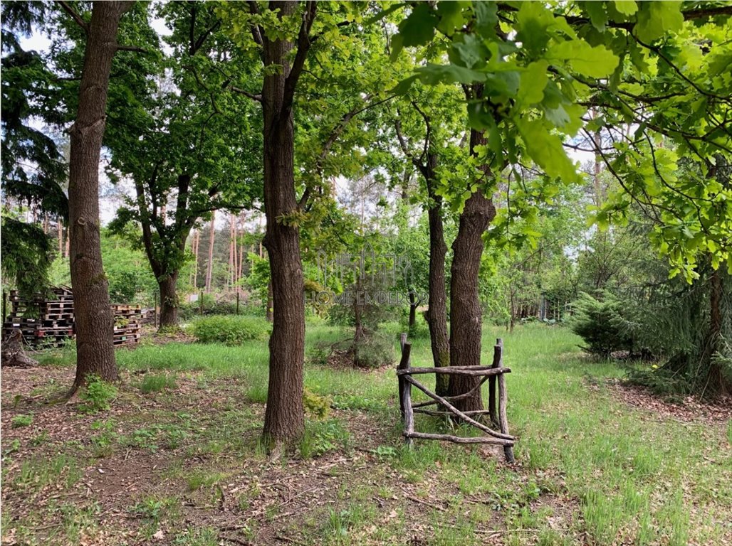 Lokal użytkowy na sprzedaż Adamowizna, Radziejowicka  450m2 Foto 12