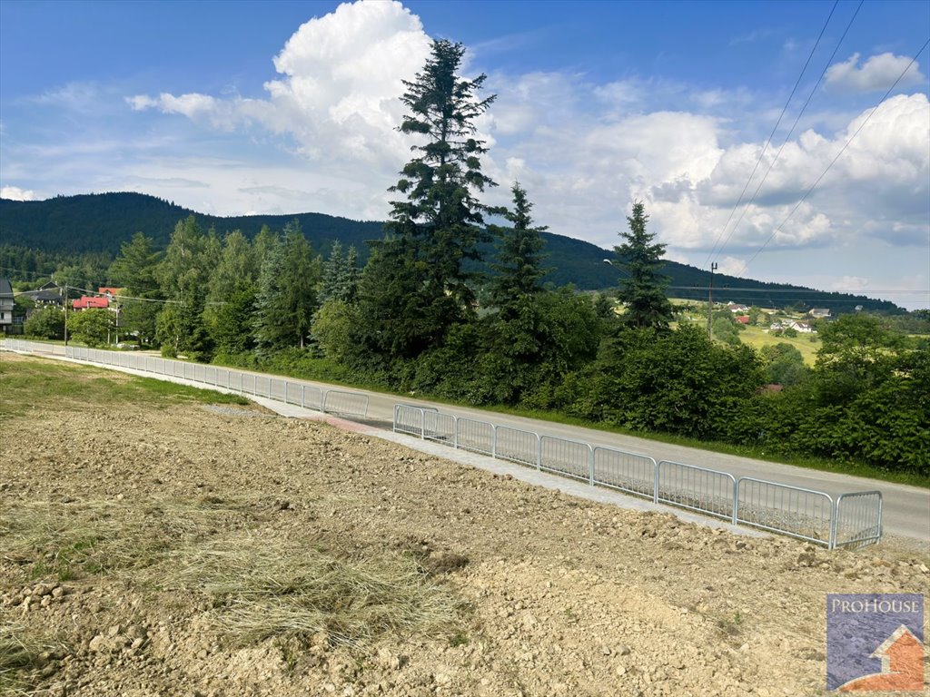 Działka budowlana na sprzedaż Pasierbiec  3 000m2 Foto 12