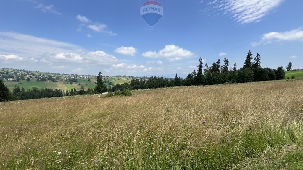 Działka rolna na sprzedaż Biały Dunajec  8 416m2 Foto 7