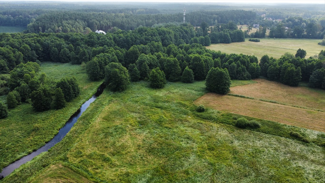 Działka rolna na sprzedaż Ostrowiec  141 198m2 Foto 10