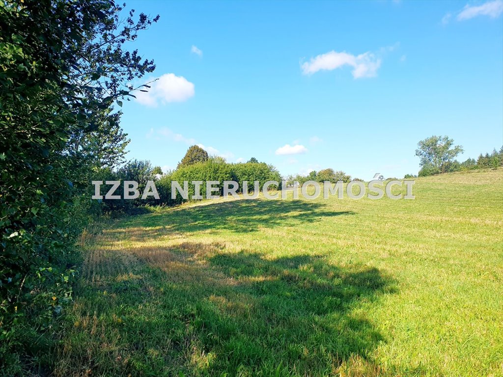 Działka budowlana na sprzedaż Świdry, Dzięgiele Oleckie  87 632m2 Foto 3