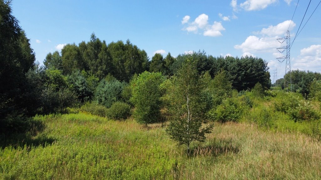 Działka budowlana na sprzedaż Łańcut  6 165m2 Foto 9