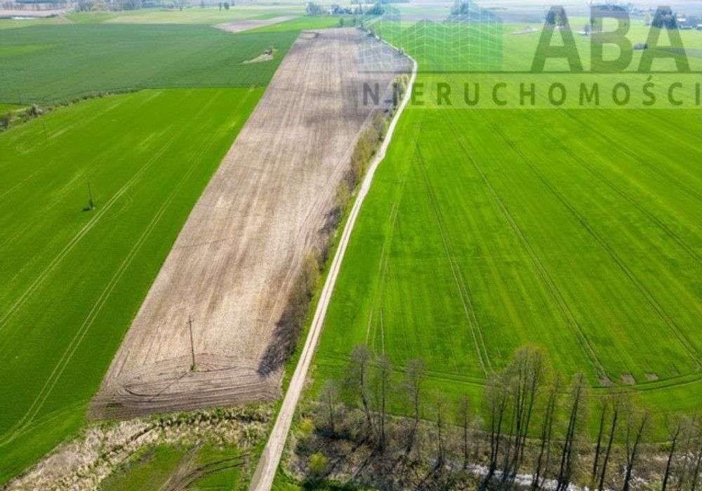 Działka budowlana na sprzedaż Turostówko  4 800m2 Foto 6