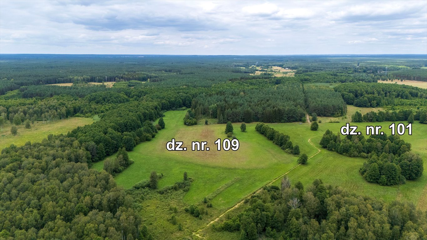 Działka rolna na sprzedaż Rekownica  120 300m2 Foto 2