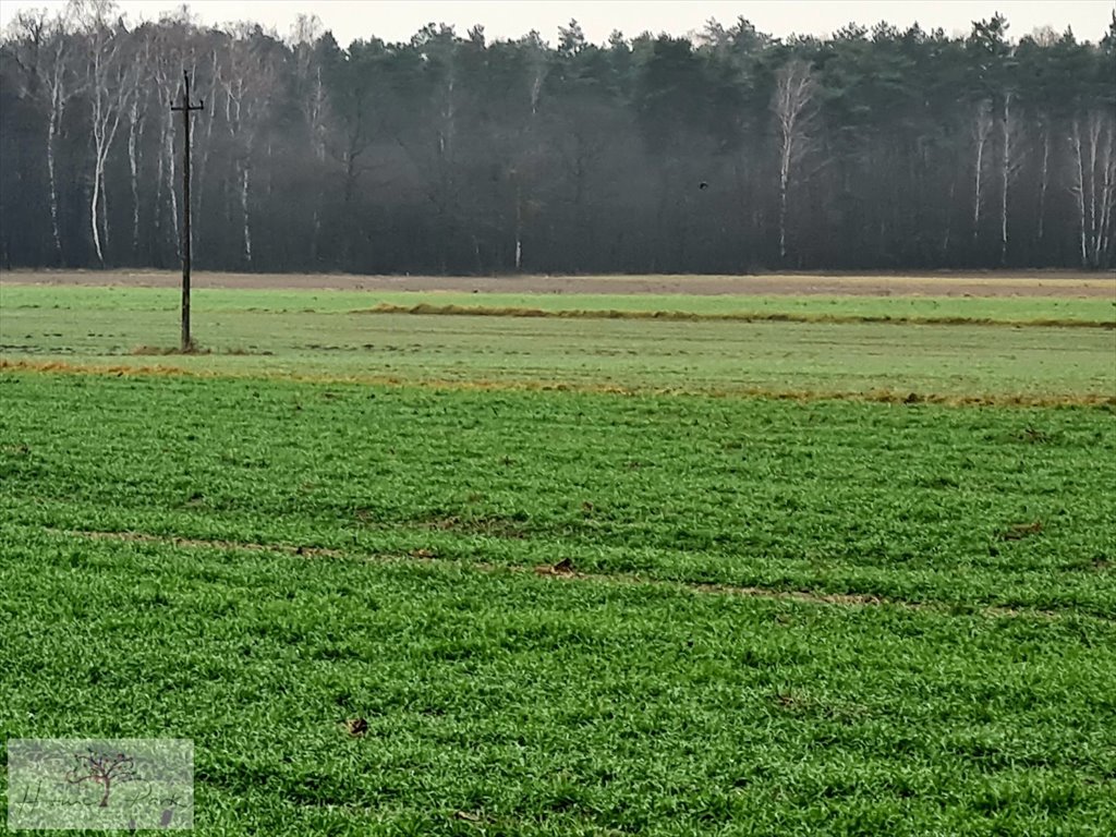 Działka budowlana na sprzedaż Gajówka, Gajówka  4 500m2 Foto 12