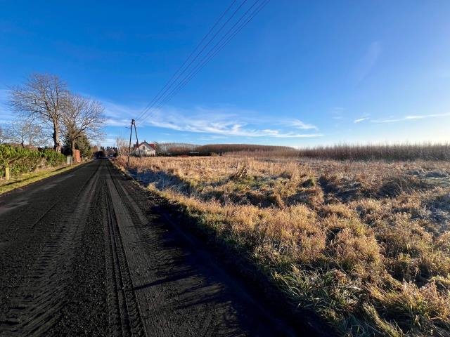 Działka budowlana na sprzedaż Czernin, Czernin  2 692m2 Foto 11