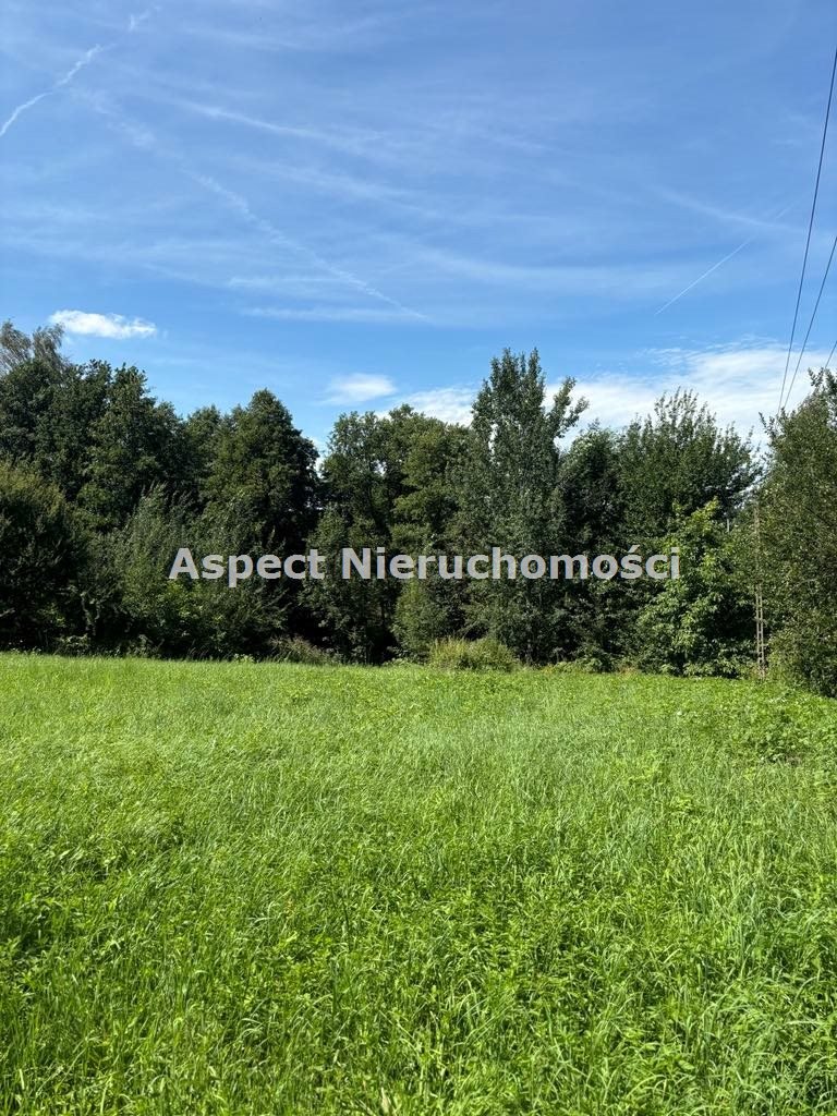 Działka budowlana na sprzedaż Kończyce Małe  3 077m2 Foto 5