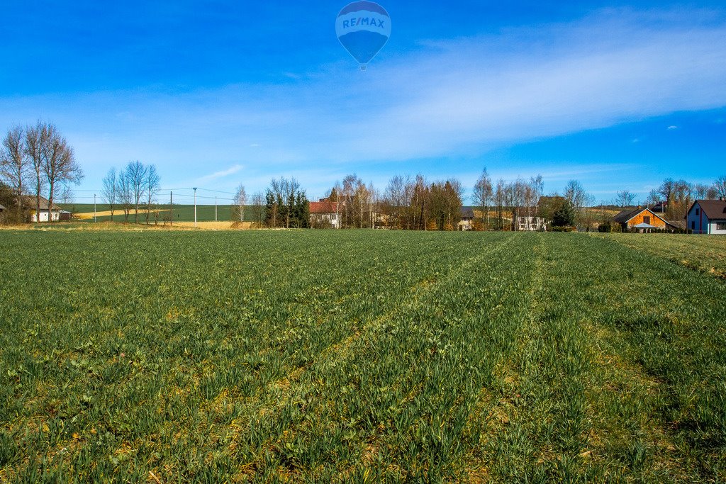 Działka budowlana na sprzedaż Grzegorzowice Wielkie  3 200m2 Foto 2