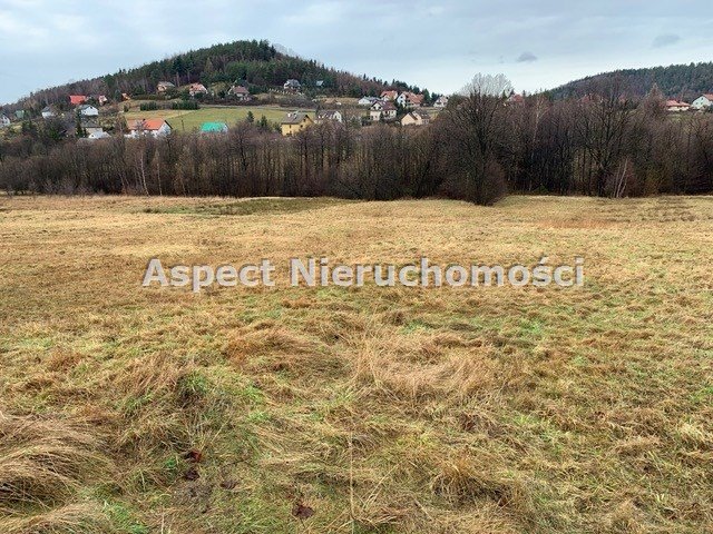 Działka budowlana na sprzedaż Rzyki  22 592m2 Foto 7