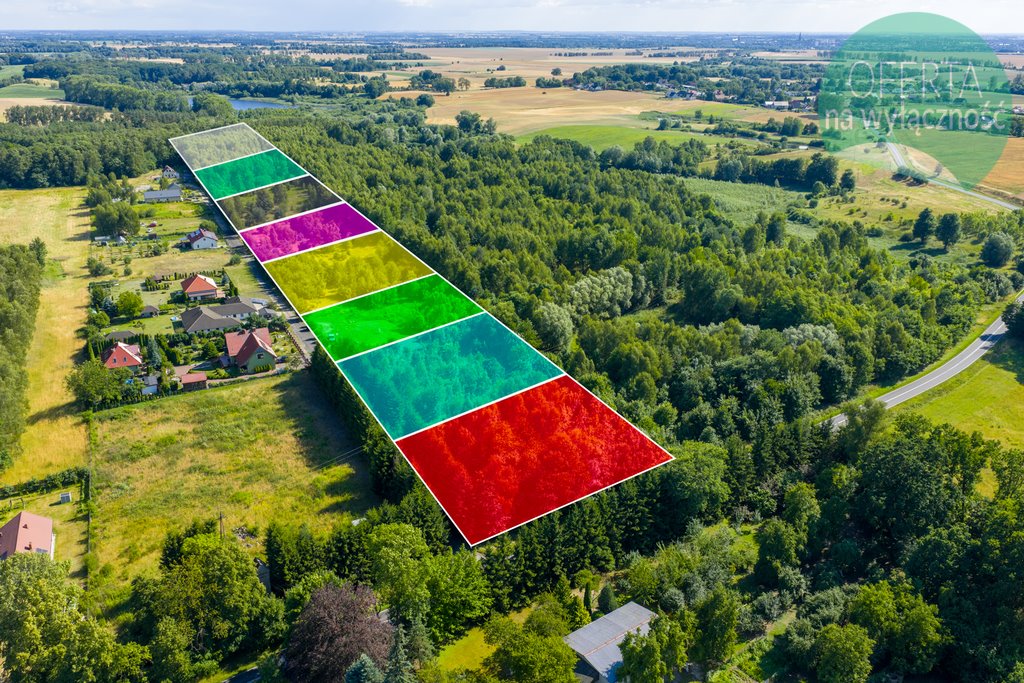 Działka budowlana na sprzedaż Grabowo  4 685m2 Foto 1