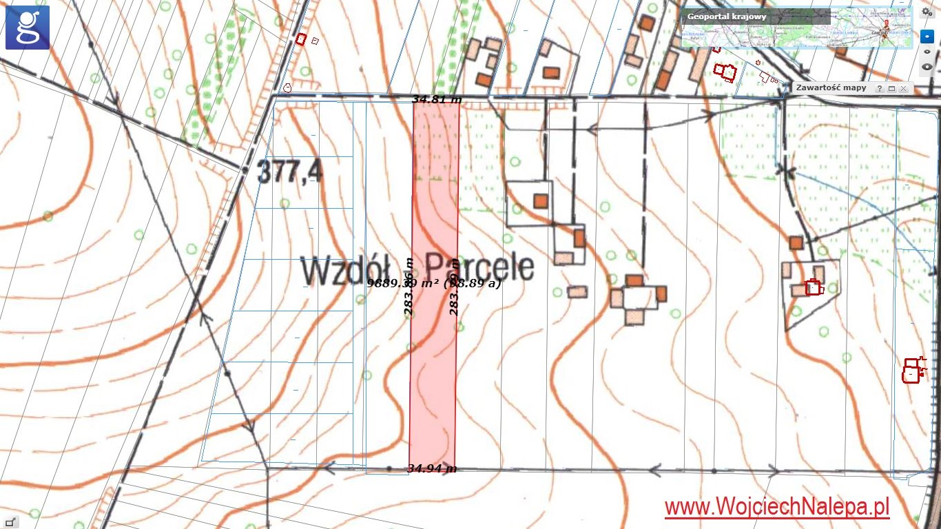 Działka budowlana na sprzedaż Orzechówka  9 800m2 Foto 12