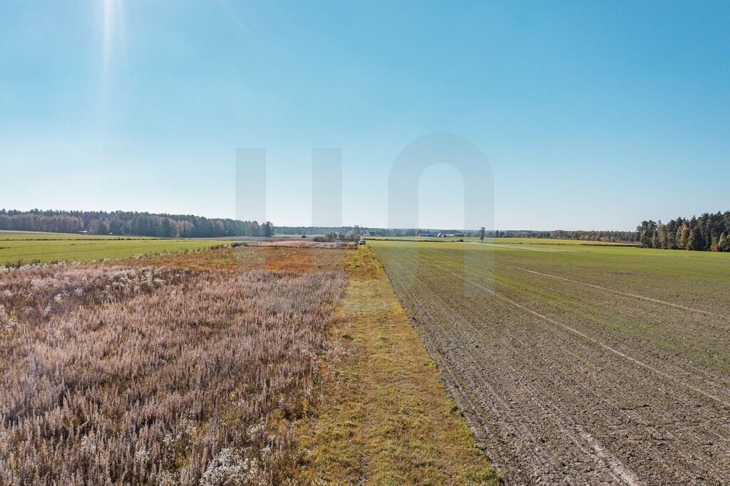 Działka budowlana na sprzedaż Krajęczyn  3 000m2 Foto 5