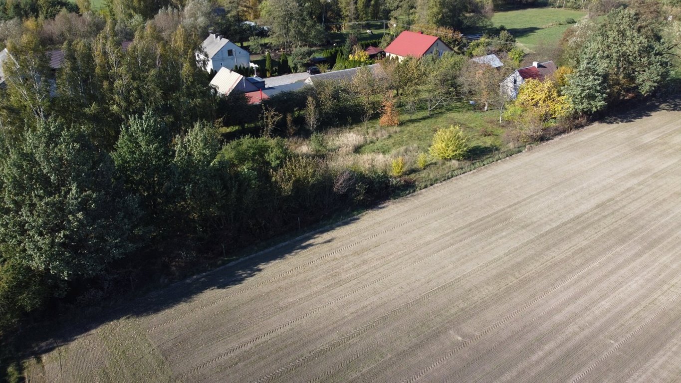 Działka rolna na sprzedaż Wierzbówiec  3 400m2 Foto 14