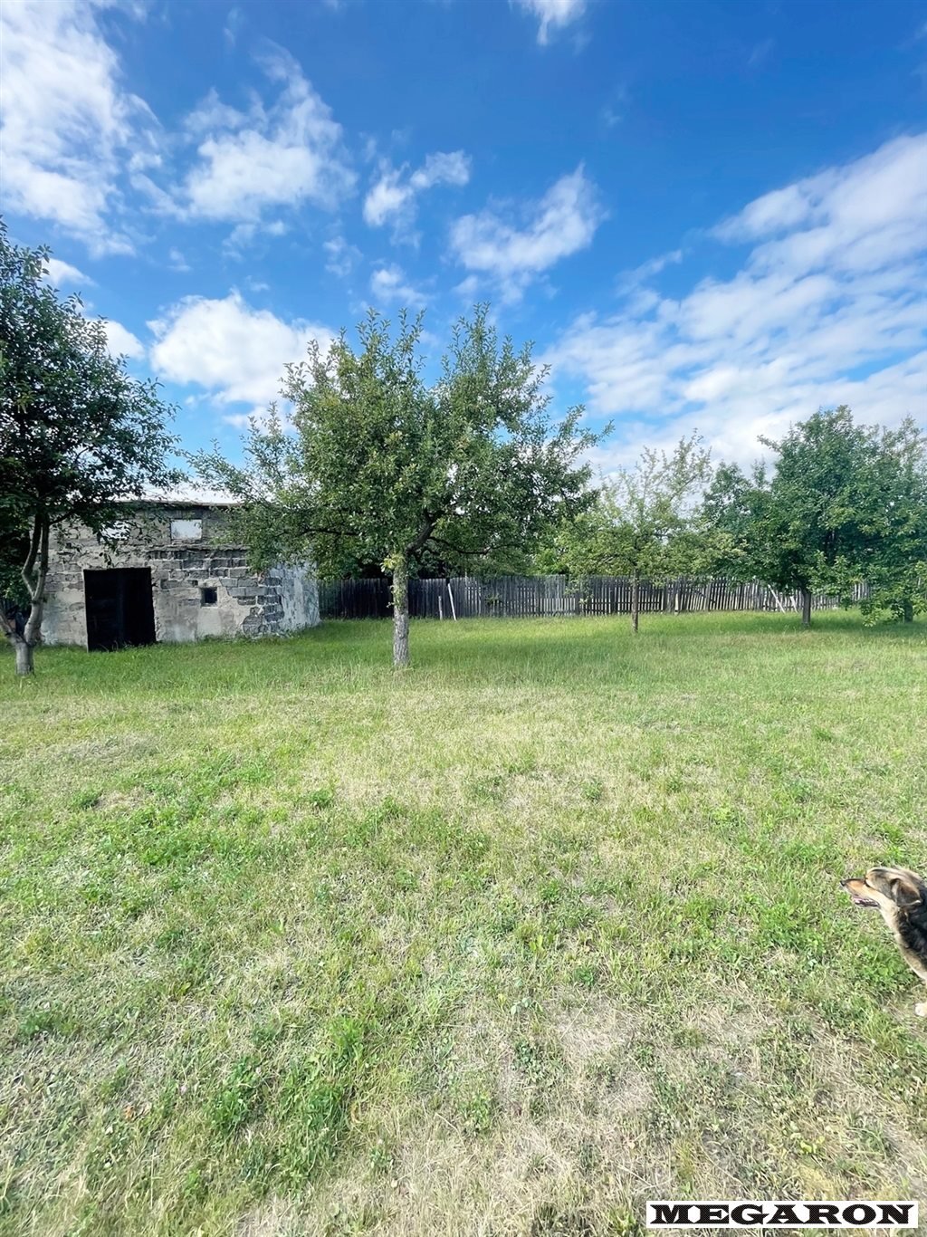 Lokal użytkowy na wynajem Częstochowa, Grabówka  200m2 Foto 19