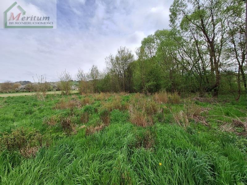 Działka budowlana na sprzedaż Korczyna  6 400m2 Foto 2