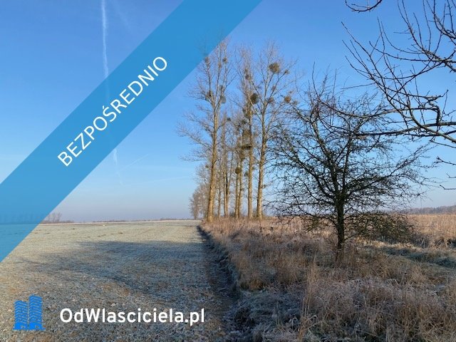Działka Sowno 7419 m2 – atrakcyjna oferta bez prowizji Sowno  7 419m2 Foto 1