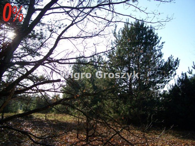 Działka leśna na sprzedaż Nasielsk, Bronin, Jasna  3 157m2 Foto 11