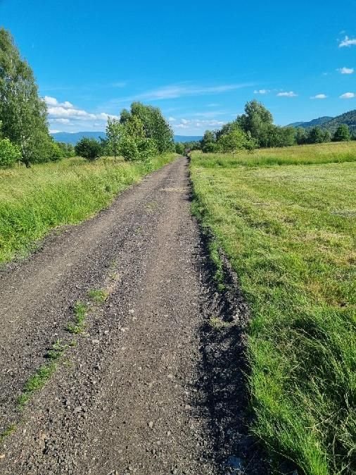 Działka budowlana na sprzedaż Buczkowice, Kaczeńców  1 377m2 Foto 14