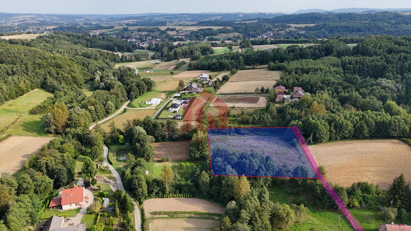 Działka budowlana na sprzedaż Niedźwiada  5 500m2 Foto 8