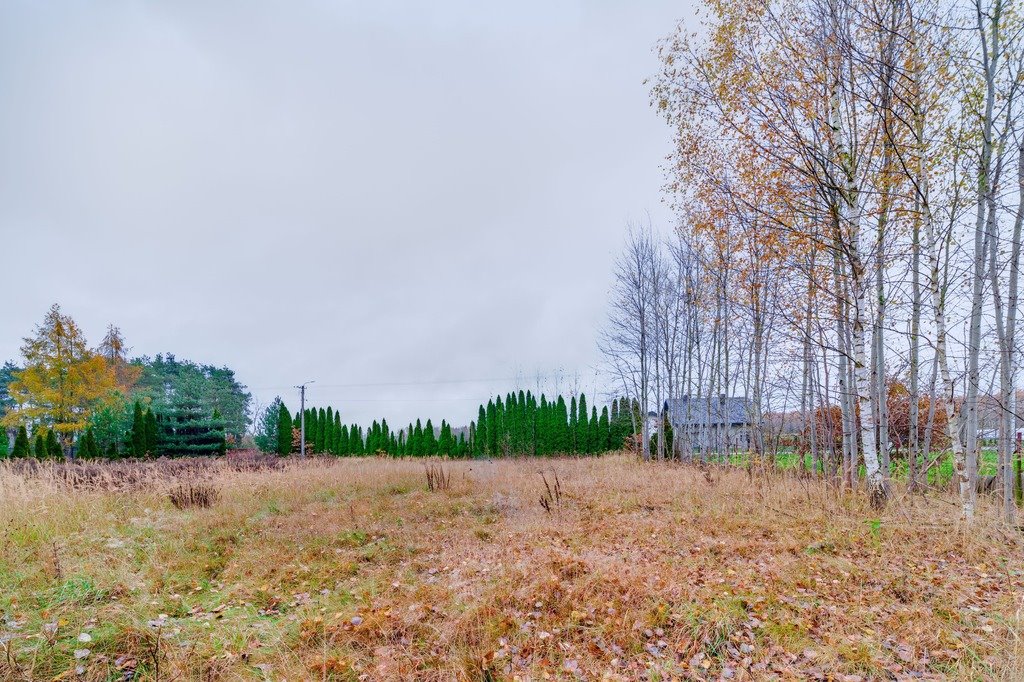 Działka budowlana na sprzedaż Porąb  2 446m2 Foto 2