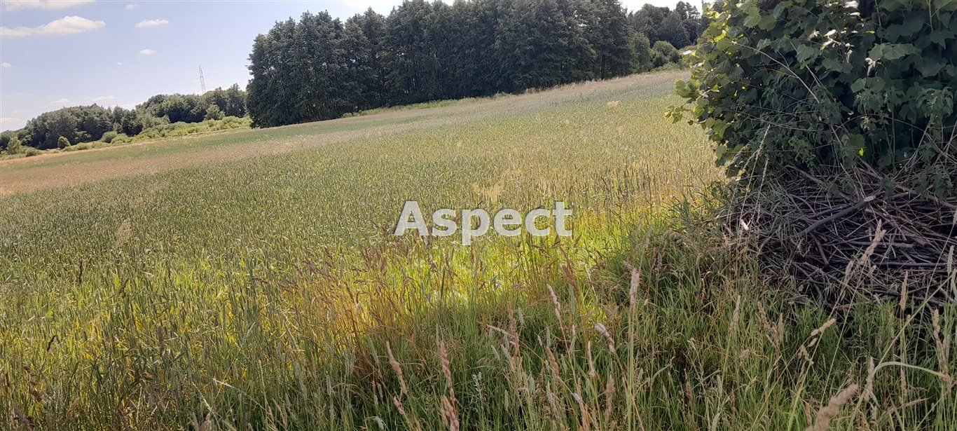 Działka rolna na sprzedaż Wierzawice  5 361m2 Foto 1