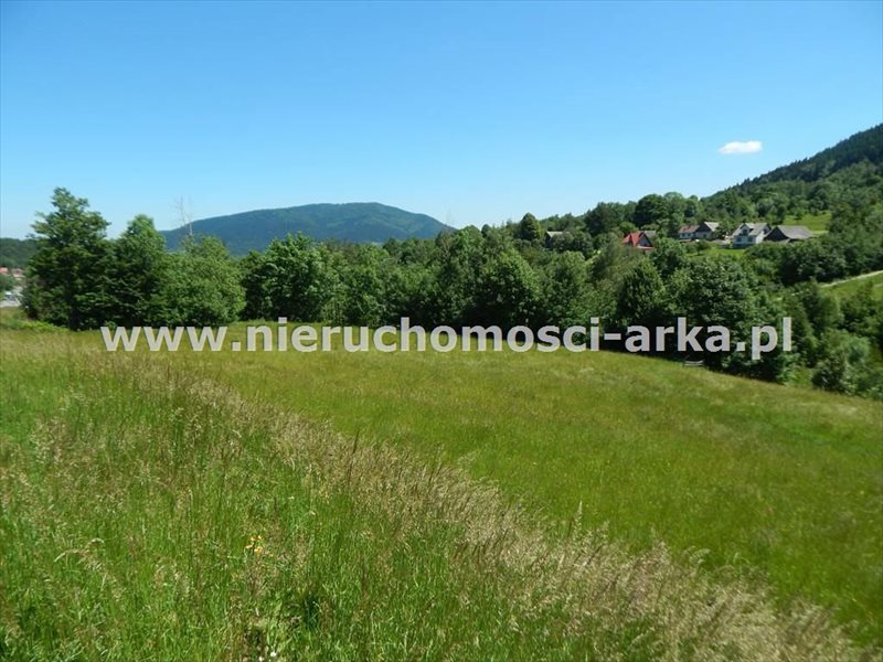 Działka budowlana na sprzedaż Dobra 3 600m2 Foto 1 Działka budowlana na sprzedaż Dobra 3 600m2 Foto 1