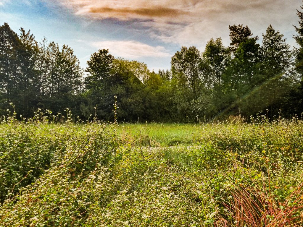 Działka inna na sprzedaż Wilkanów  1 500m2 Foto 12