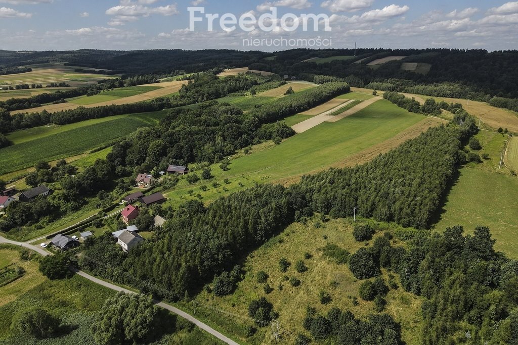 Działka budowlana na sprzedaż Harta  7 549m2 Foto 7