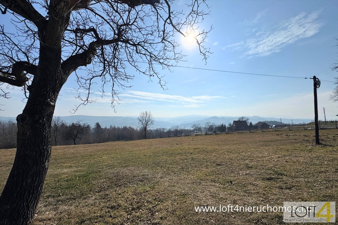 Działka budowlana na sprzedaż Bartkowa-Posadowa  3 100m2 Foto 1