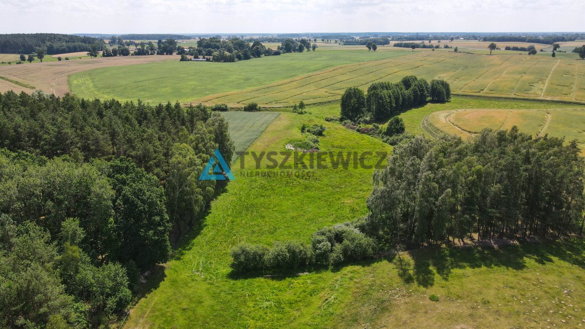 Działka rolna na sprzedaż Zielona Góra  8 155m2 Foto 8