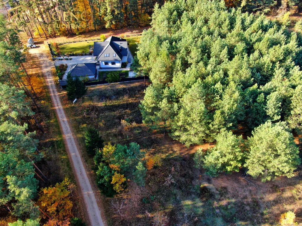 Działka budowlana na sprzedaż Krynice  3 010m2 Foto 4