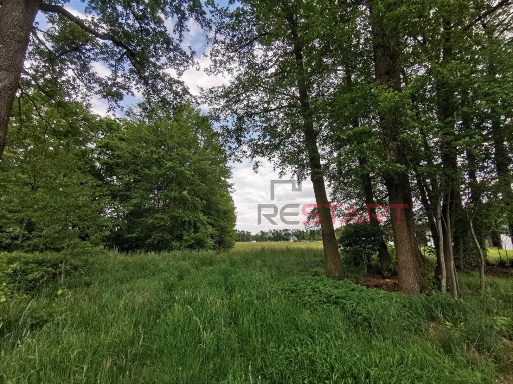 Działka 4850 m² z planem budowlanym i rolna w Kałęczynie Kałęczyn  4 850m2 Foto 1