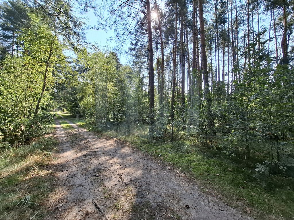 Działka rekreacyjna na sprzedaż Wysoka Lelowska  2 321m2 Foto 5