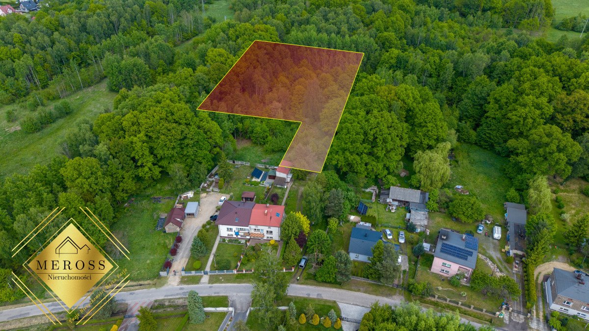 Działka leśna na sprzedaż Brzeziny-Kolonia  5 850m2 Foto 1