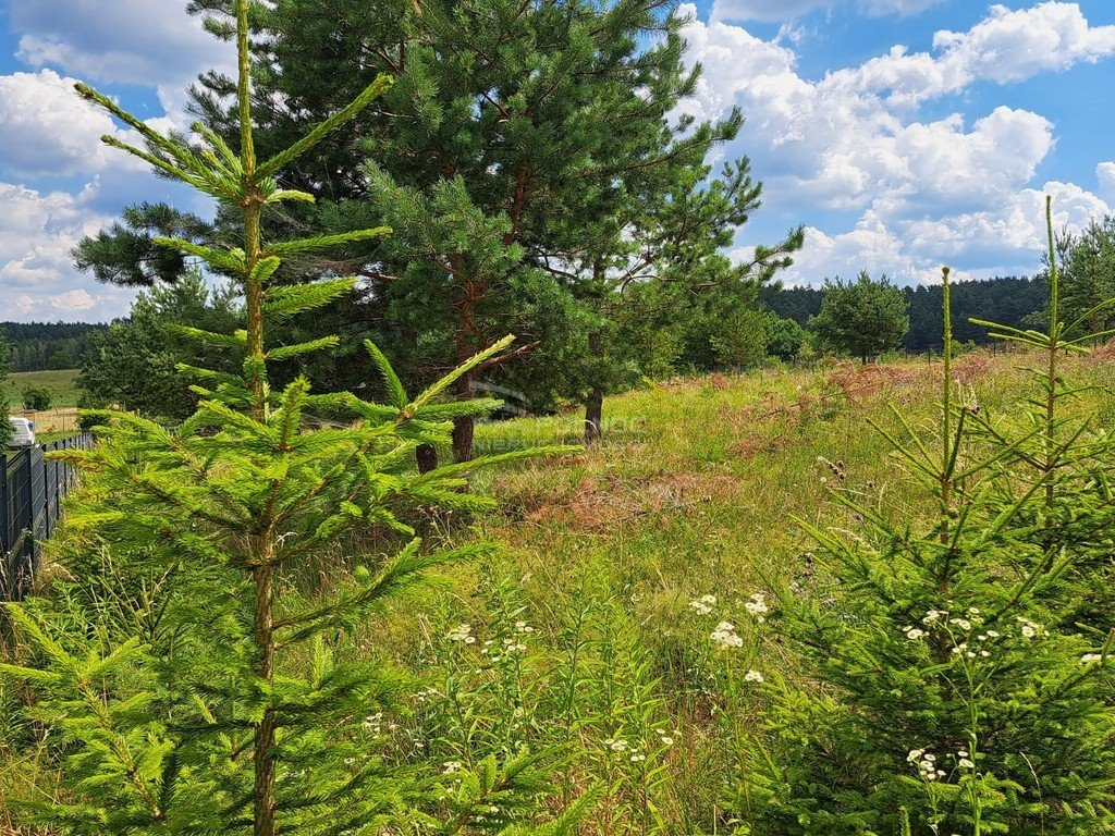 Dom na sprzedaż Kurki  132m2 Foto 12