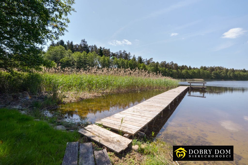 Działka rolna na sprzedaż Białorzeczka  4 000m2 Foto 4