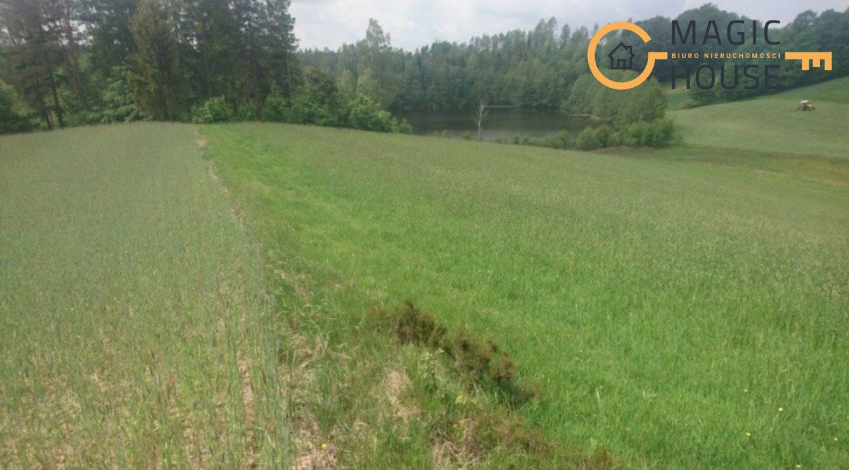 Działka rekreacyjna na sprzedaż Borowy Las  7 000m2 Foto 2