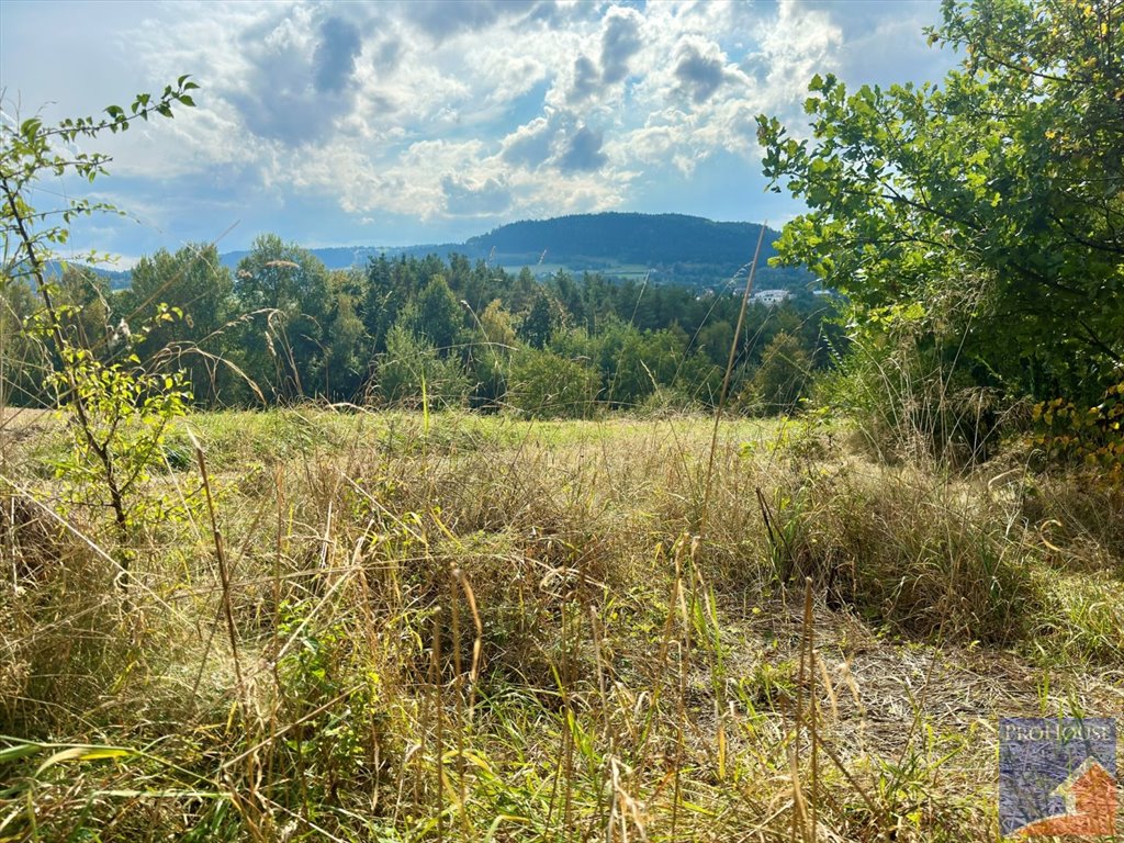 Działka budowlana na sprzedaż Limanowa, Stara Wieś  5 700m2 Foto 6