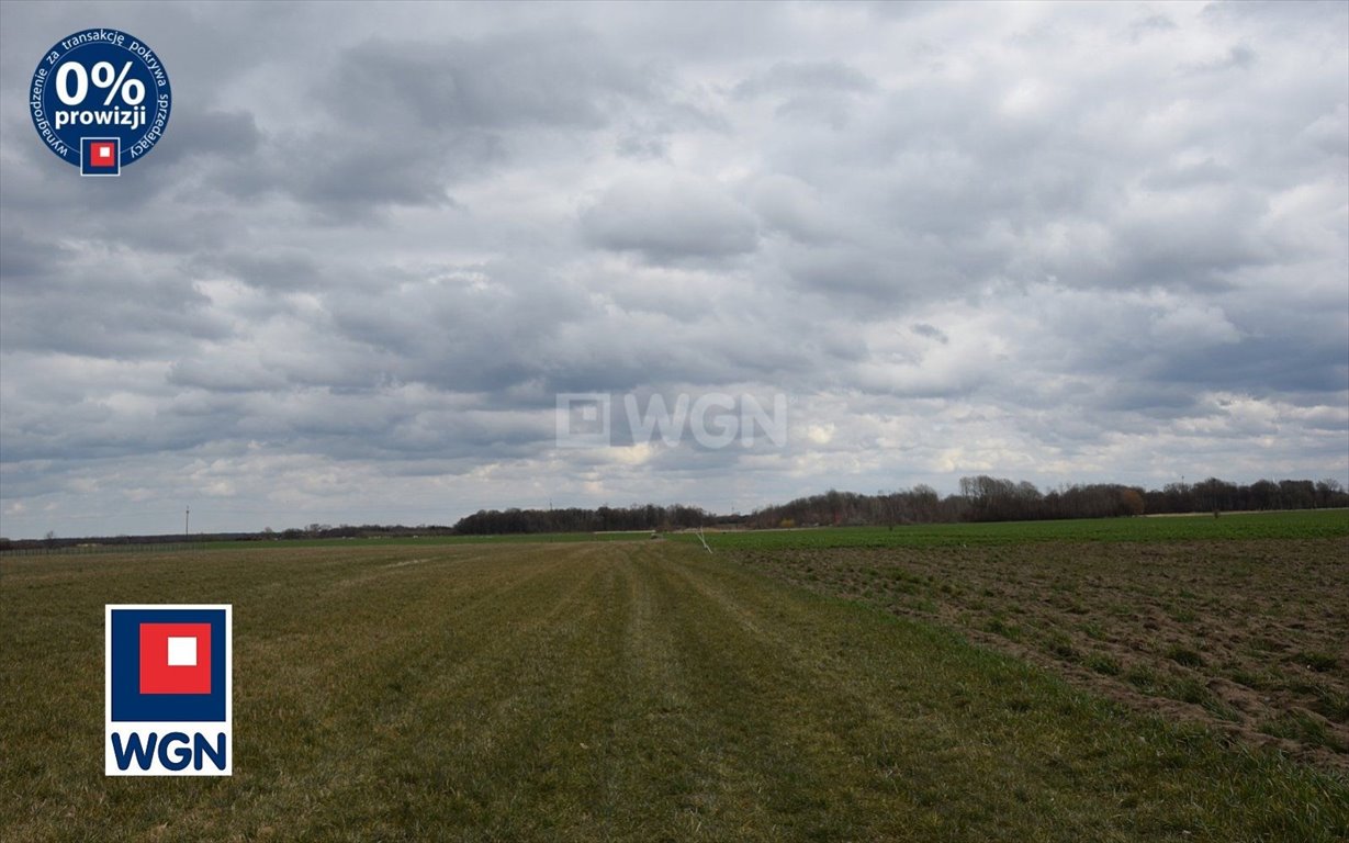 Działka inna na sprzedaż Jezierzany, Jezierzany  4 762m2 Foto 1